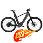 RaceVolt™ Premium Electric Bicycle